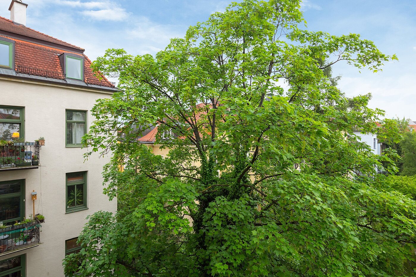 フラット 部屋数 1 部屋 | München-Nymphenburg | 2102ML7 | Sommerliche Aussichten...