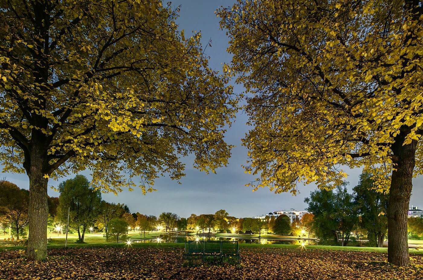 フラット 部屋数 1 部屋 | München-Sendling-Westpark | 2008ML1 | Abenddämmerung im Westpark