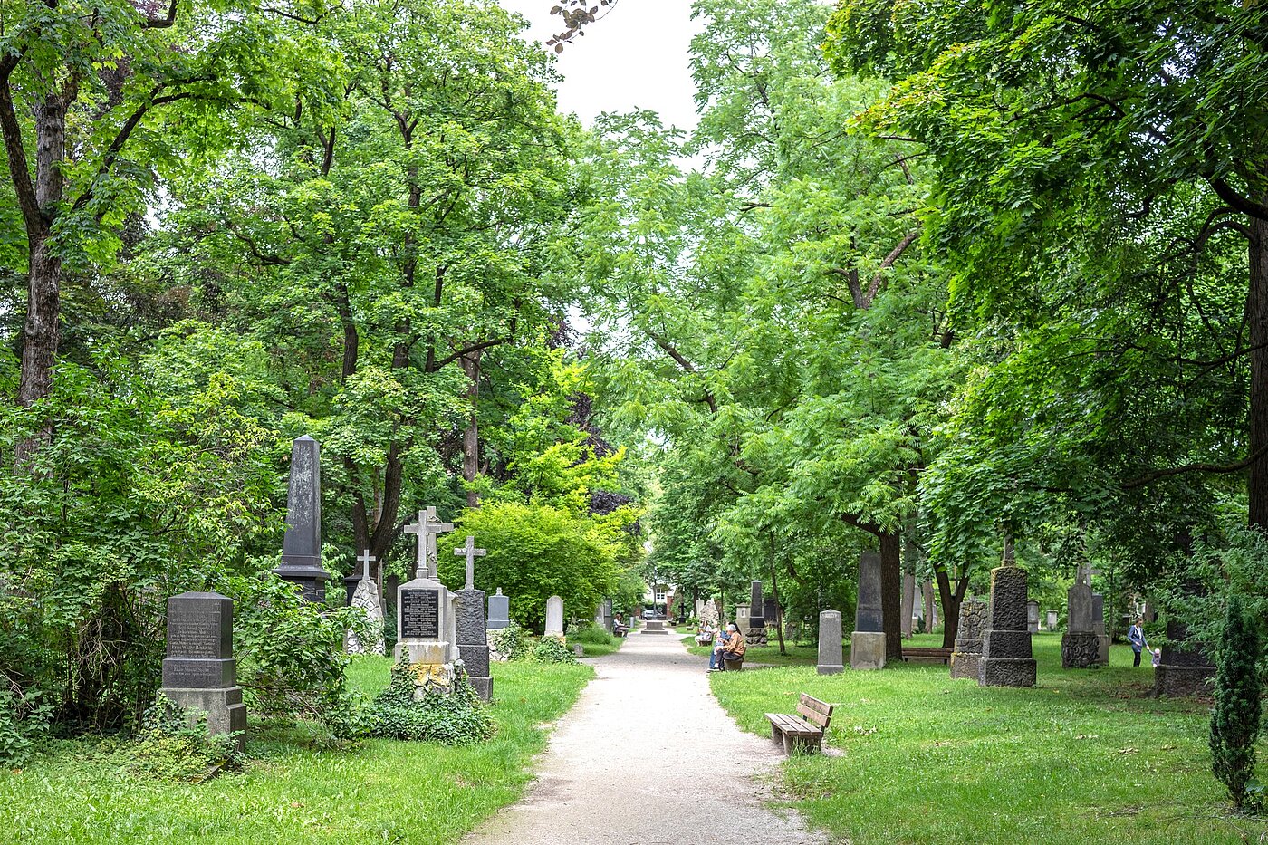 フラット 部屋数 3 部屋 | München-Maxvorstadt | 70133 | Alter Nordfriedhof