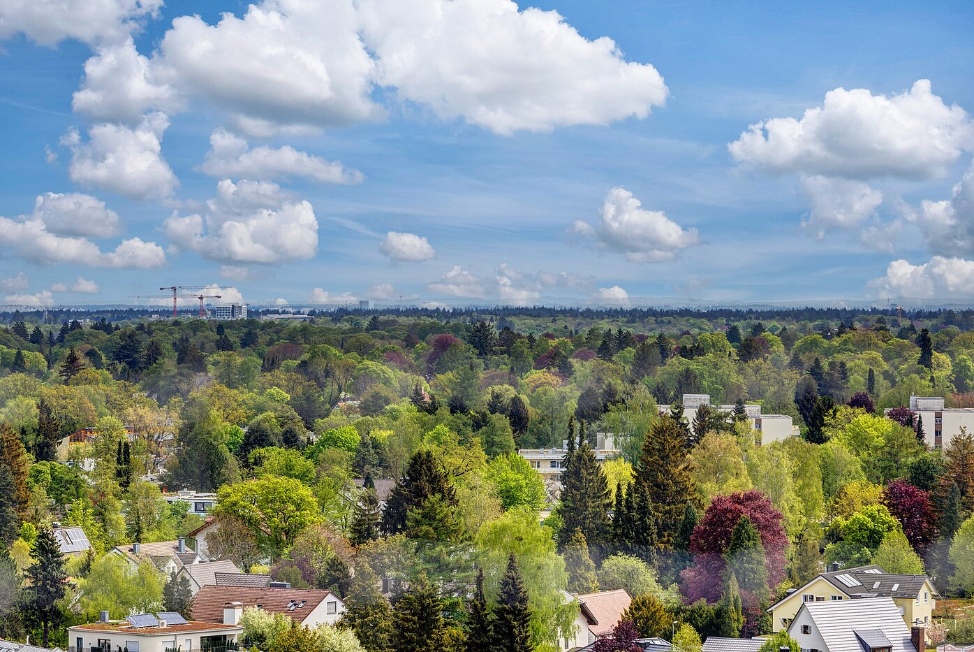 フラット 部屋数 1 部屋 | München-Solln | 2201ML92 | ...eine herrliche Fernsicht