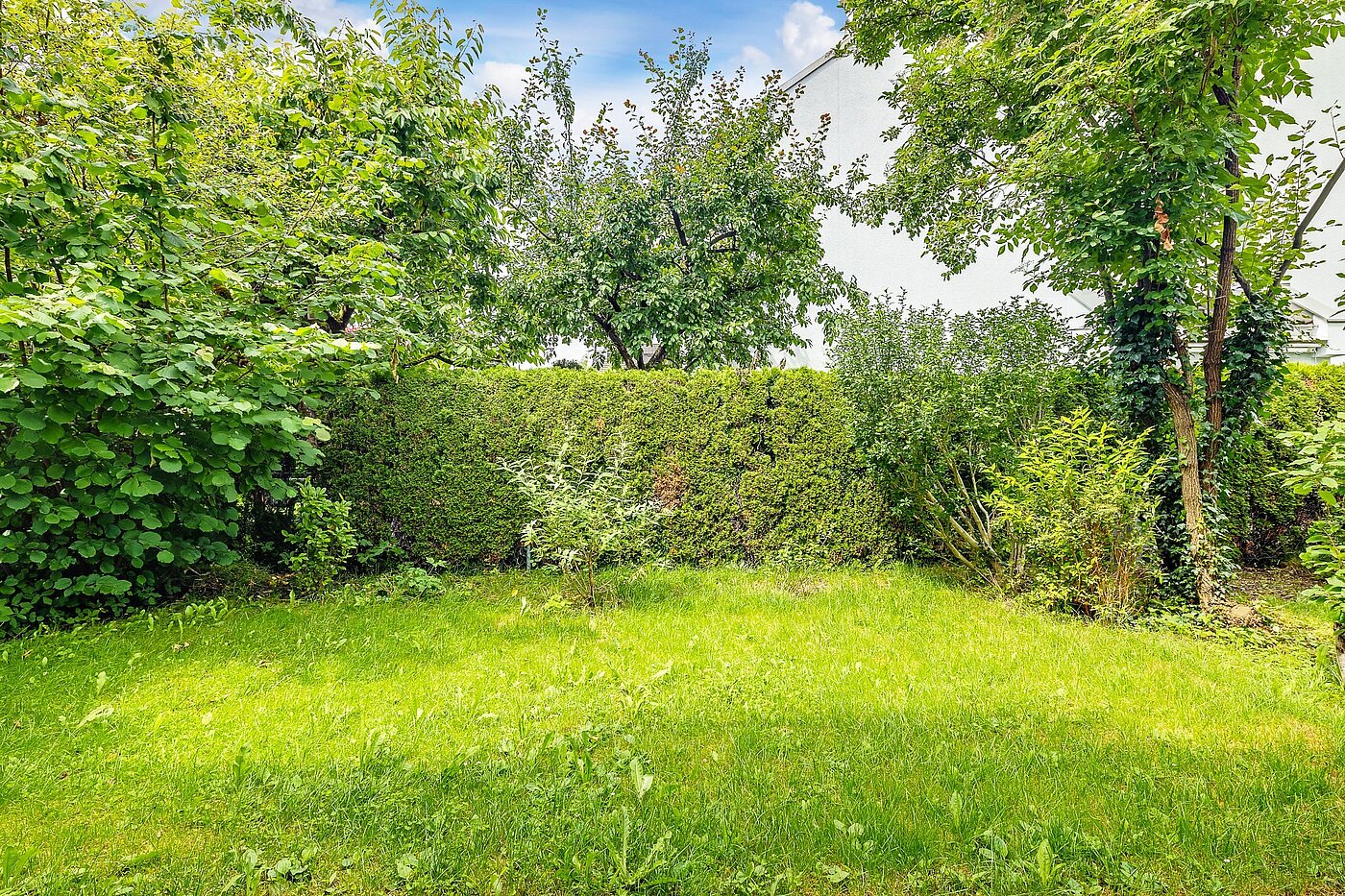 フラット 部屋数 3 部屋 | München-Hasenbergl | 2105ML10 | ...mit Gartenanteil...