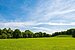 Apartment 部屋数 1.5 部屋 | München-Neuhausen | 70179 | ...viel Natur | Thumbnail