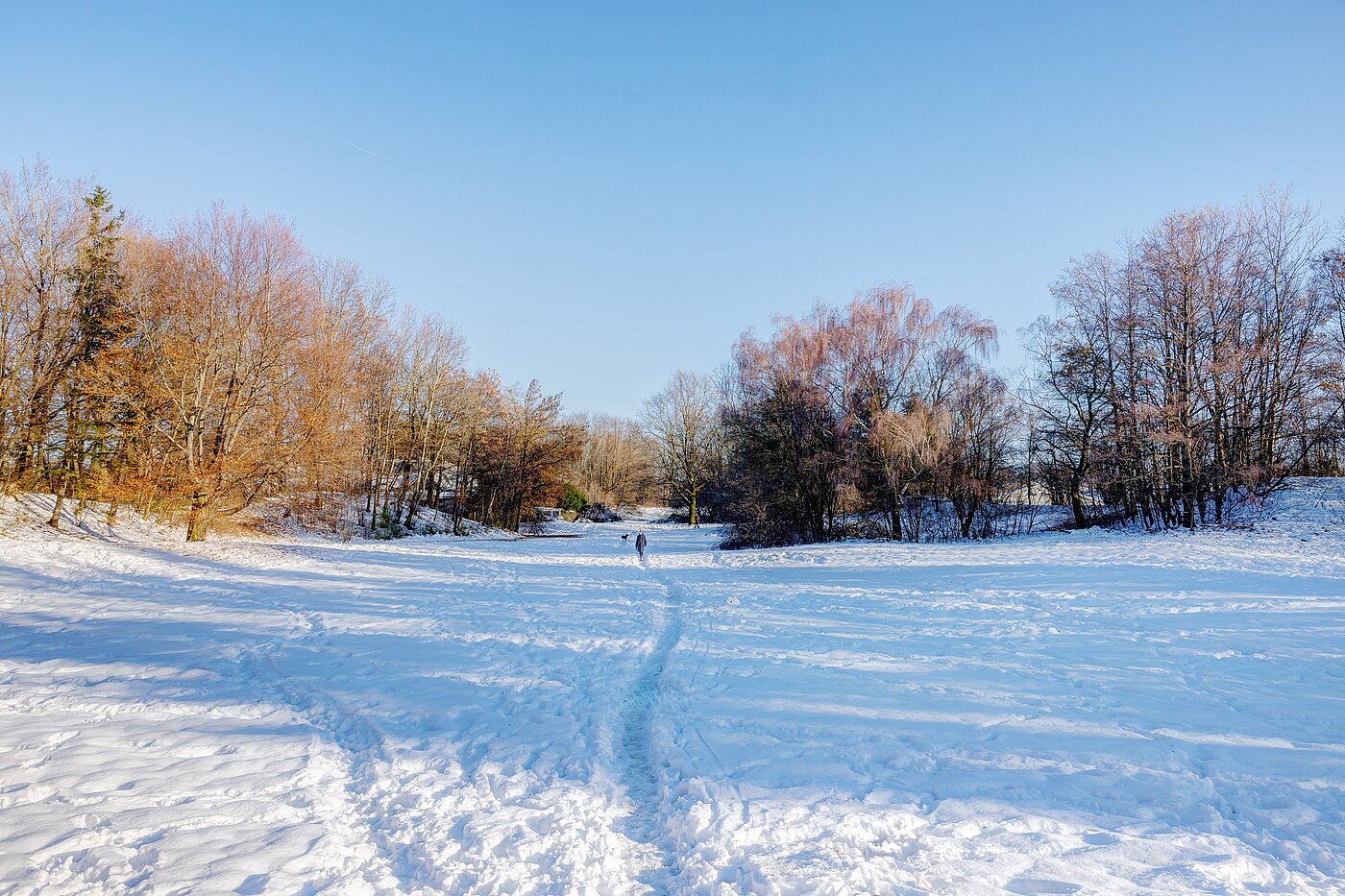 フラット 部屋数 1 部屋 | München | 70073 | Winterimpression