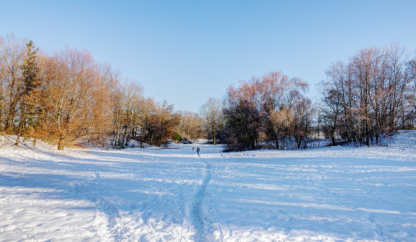 フラット 部屋数 1 部屋 | München | 70073 | Winterimpression