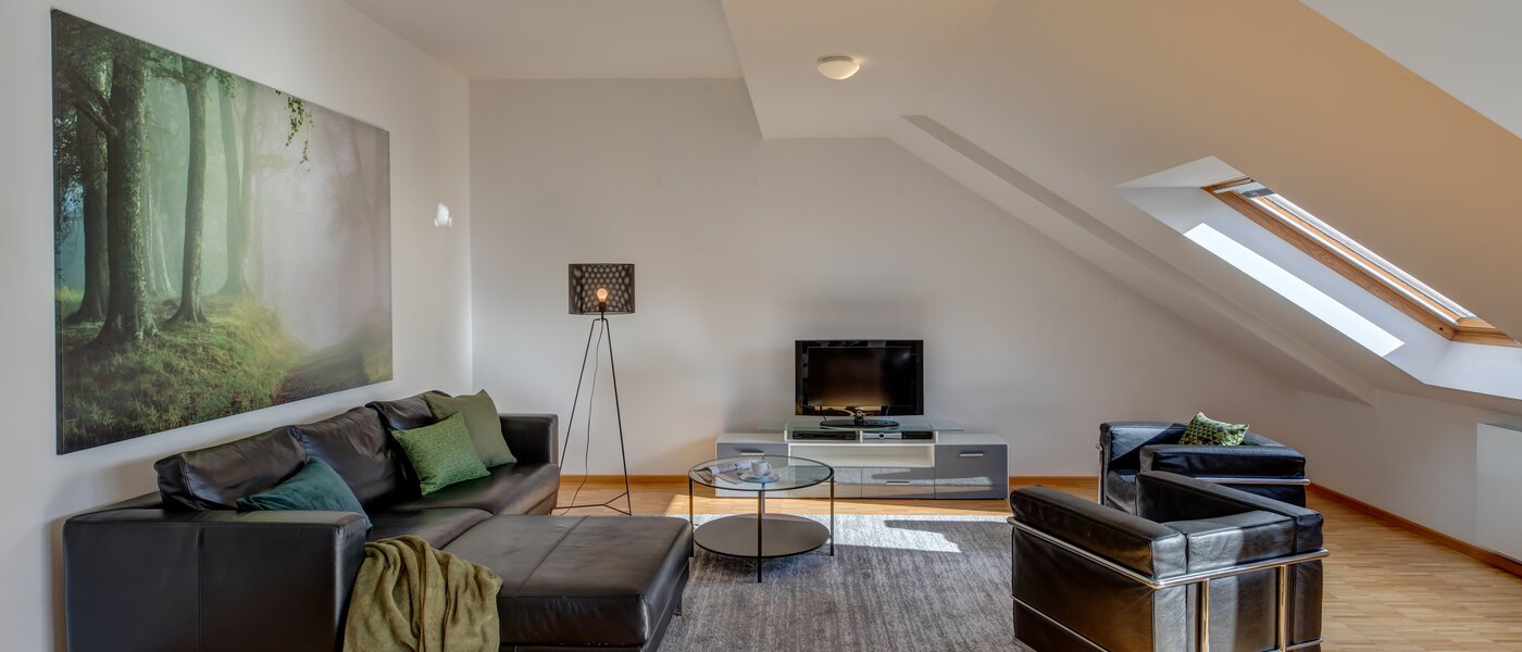 ペントハウス München Maxvorstadt - Museumsviertel 01 リビングエリア 1