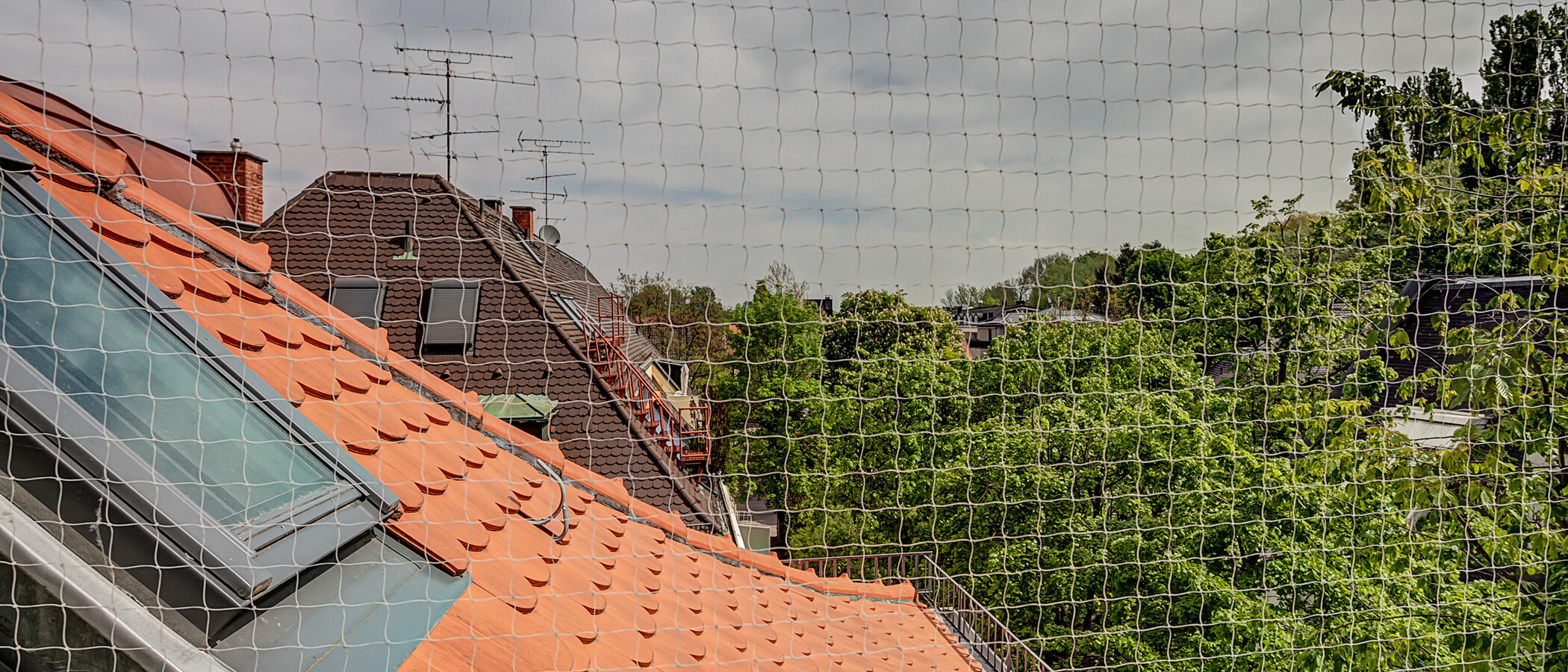 複層住宅 München Schwabing (rechts der Leopoldstraße) 03 物件からの眺め 10012