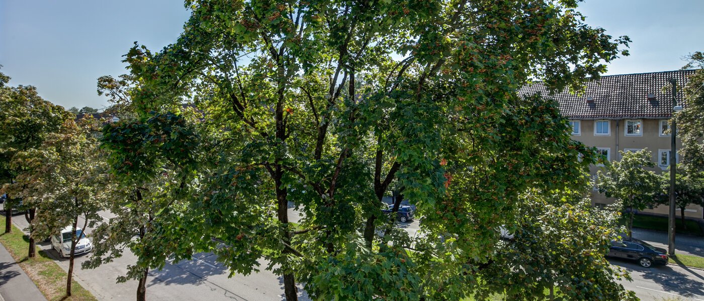 マンション München Westpark 05 物件からの眺め 10184