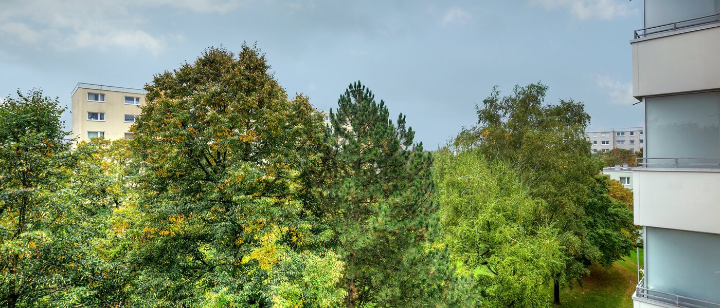 マンション München Englschalking 02 物件からの眺め 10225