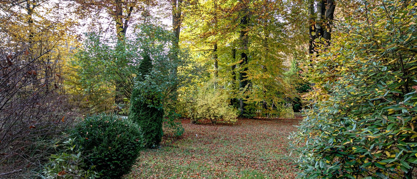 マンション München Harlaching 01 庭 10257