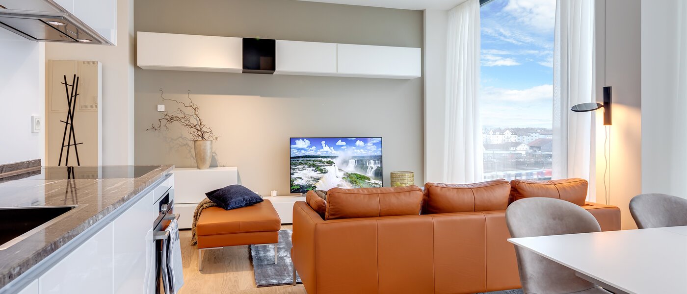 マンション München Nymphenburg 06 リビングルーム 10338