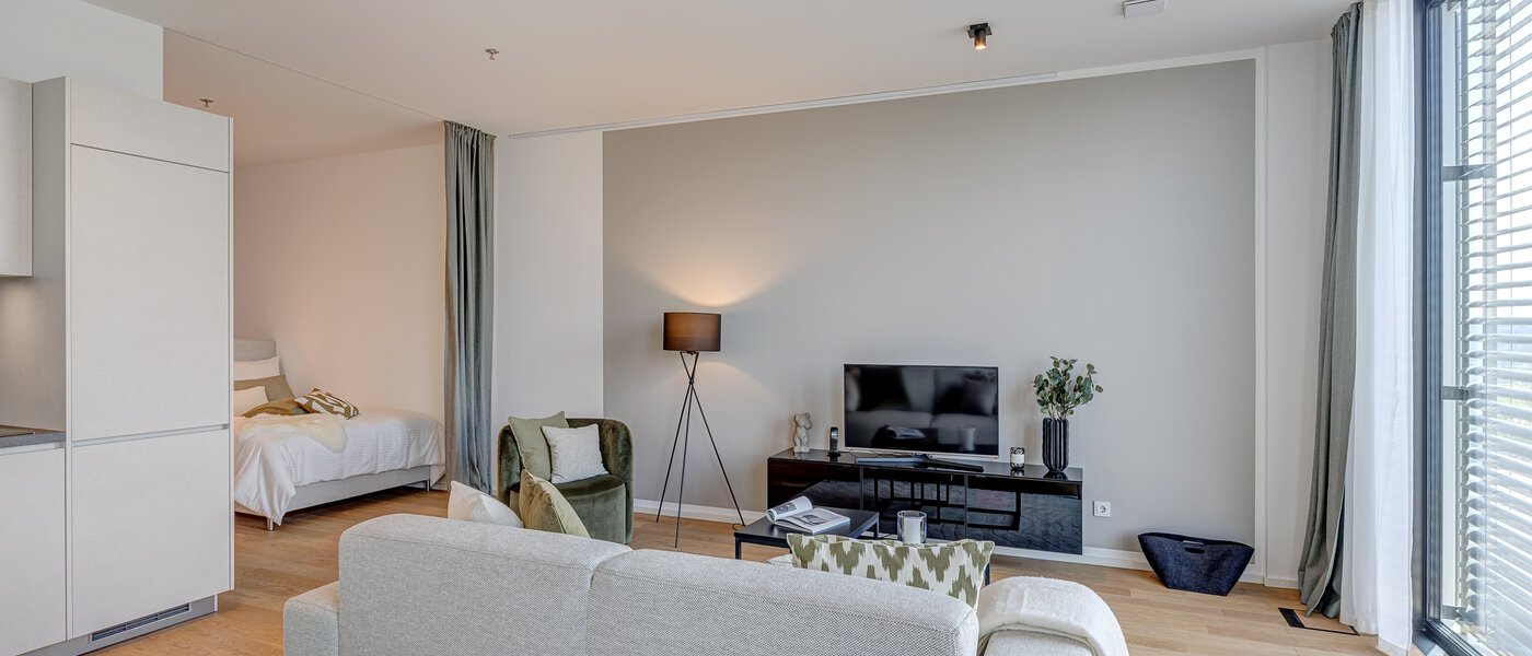 マンション München Nymphenburg 07 リビングエリア 10455