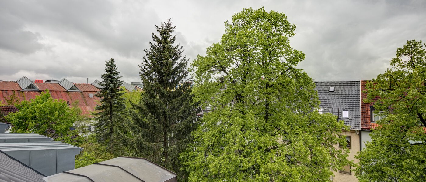 アティック・フラット（屋根裏） München Obersendling 03 物件からの眺め 10566