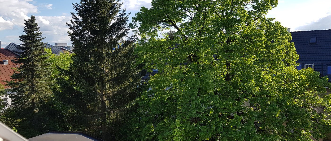 アティック・フラット（屋根裏） München Obersendling 06 物件からの眺め 10566