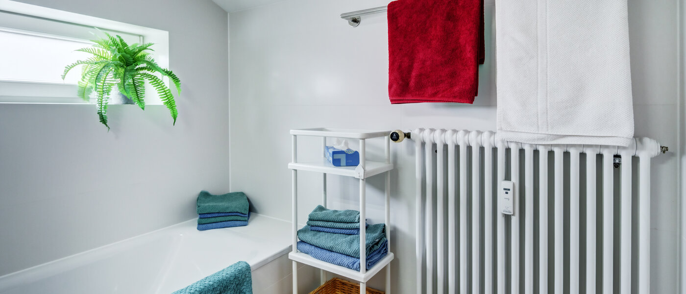 アティック・フラット（屋根裏） München Trudering 02 浴室 10634