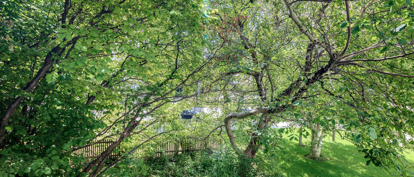 マンション München Bogenhausen 02 物件からの眺め 10643