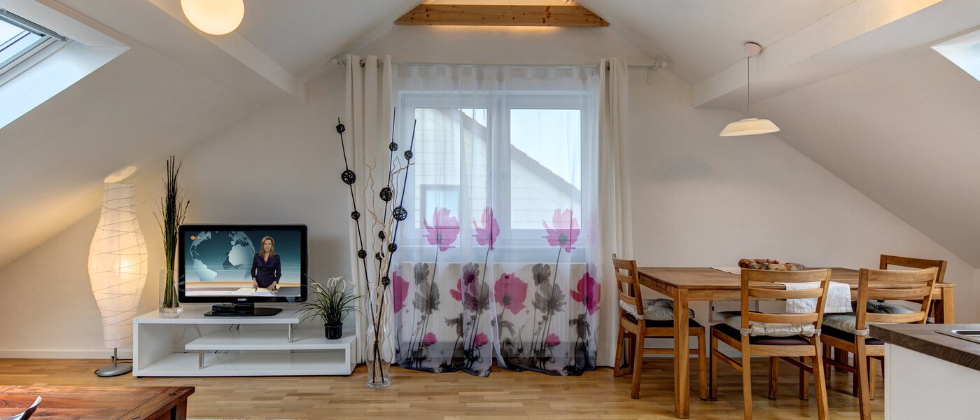 アティック・フラット（屋根裏） Eching 04 リビングルーム 10655