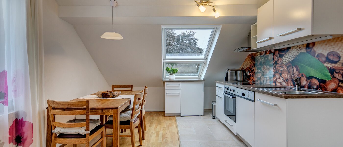 アティック・フラット（屋根裏） Eching 01 キッチン 10655