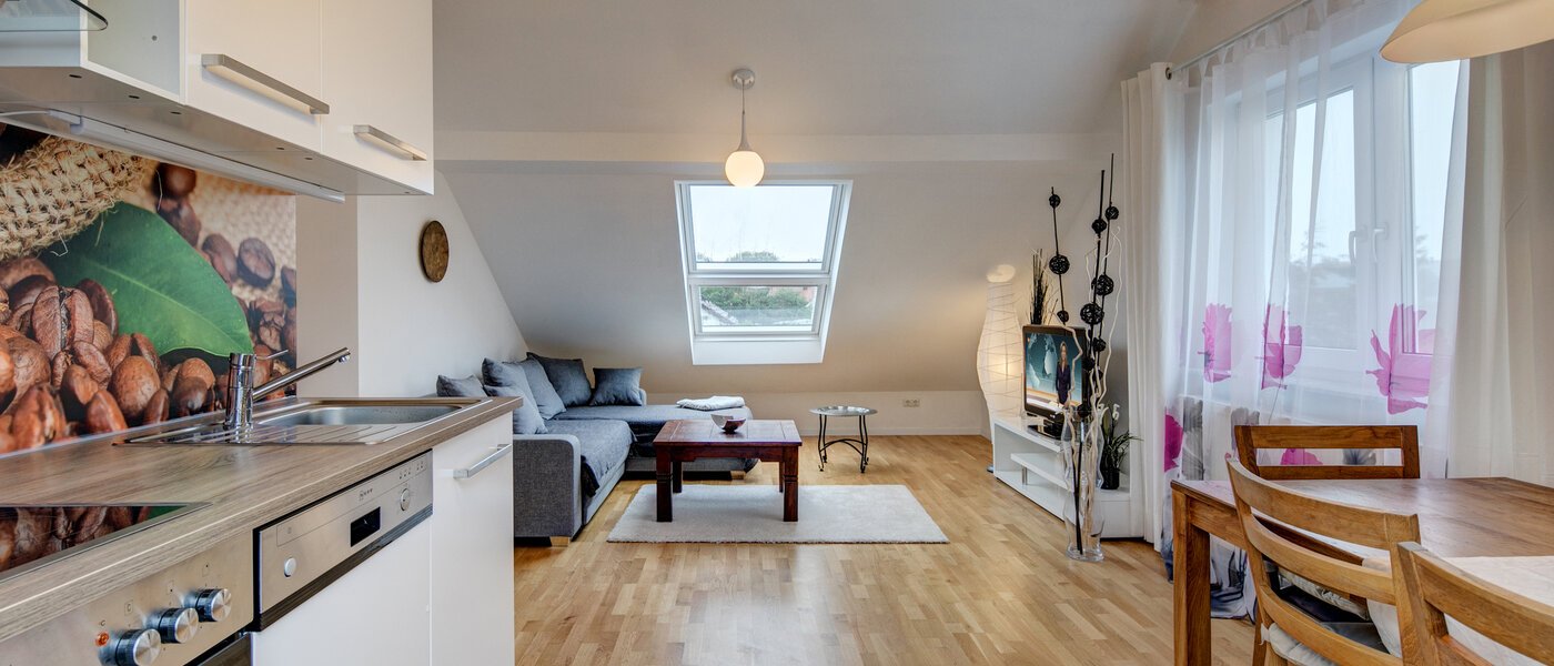 アティック・フラット（屋根裏） Eching 03 キッチン 10655