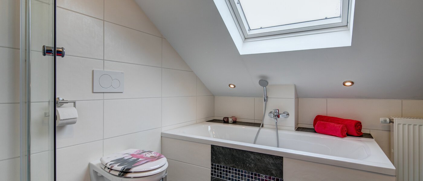 アティック・フラット（屋根裏） Eching 02 浴室 10655