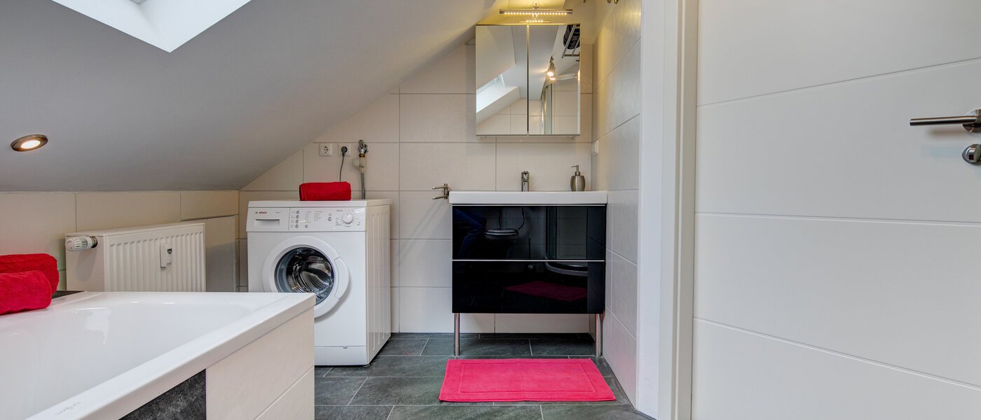 アティック・フラット（屋根裏） Eching 03 浴室 10655