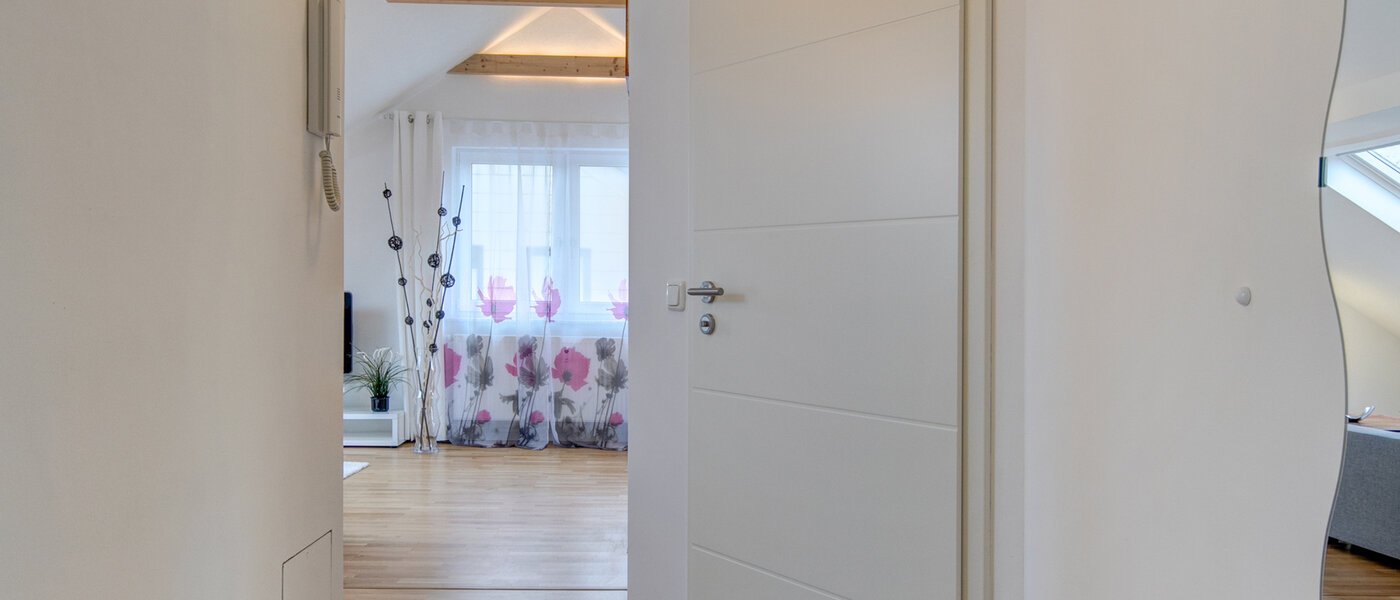 アティック・フラット（屋根裏） Eching 01 玄関入り口 10655