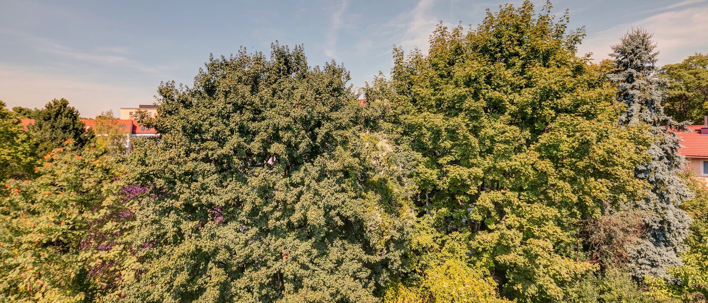 アパルトマン München Ramersdorf 02 物件からの眺め 10733