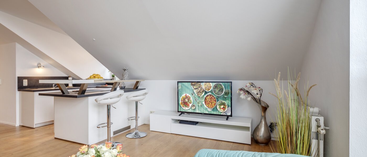 アティック・フラット（屋根裏） München Denning 03 リビングルーム 10809