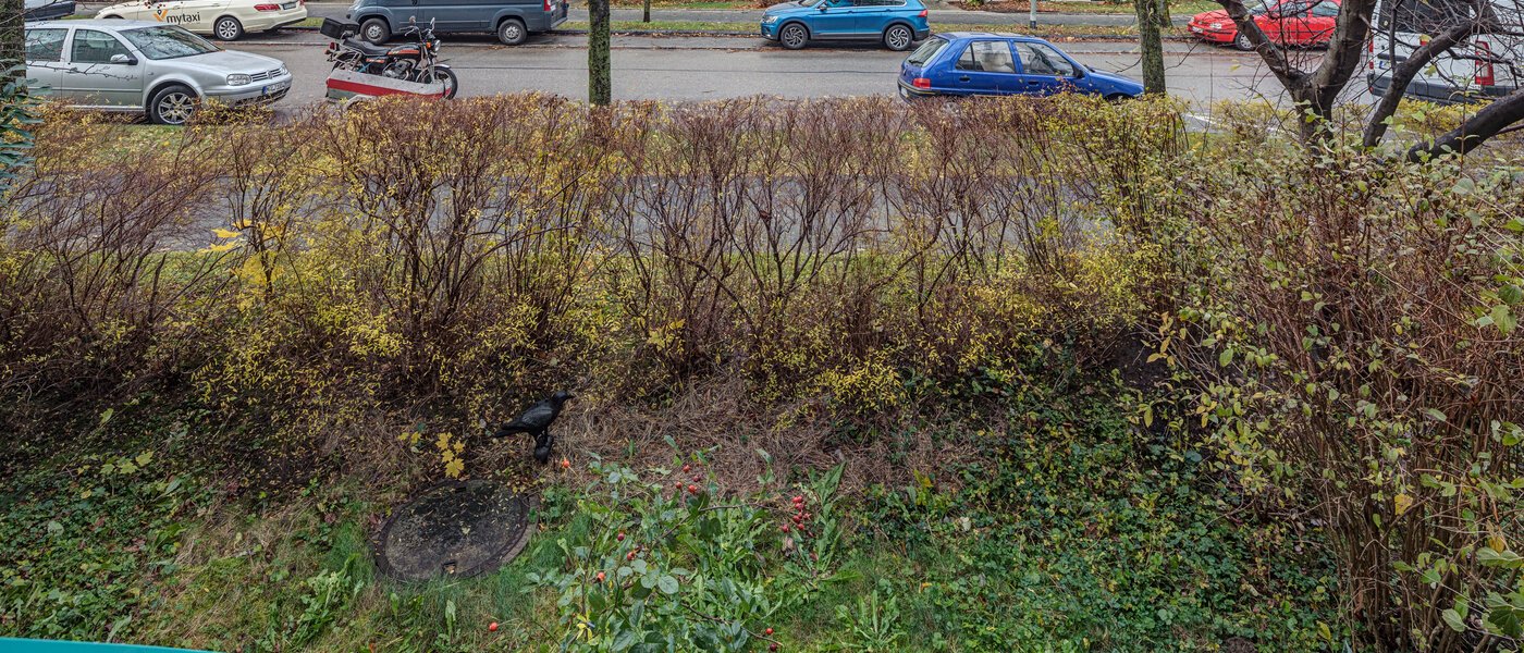 マンション München Daglfing 01 庭 10821