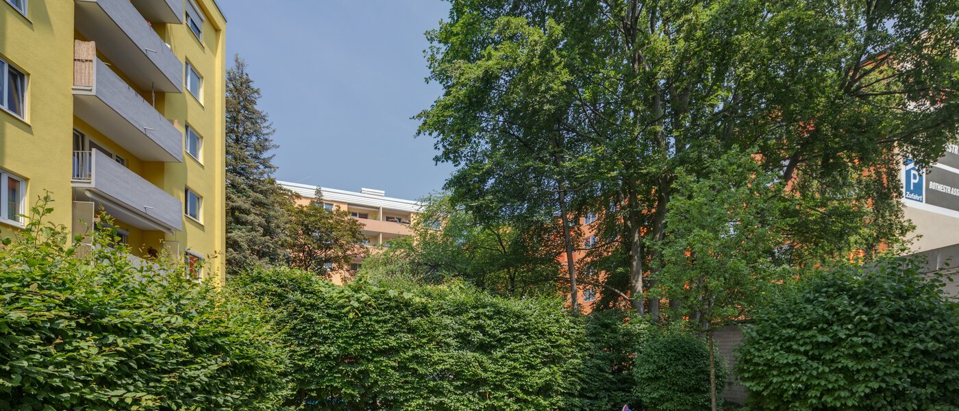 マンション München Haidhausen 01 庭 10914