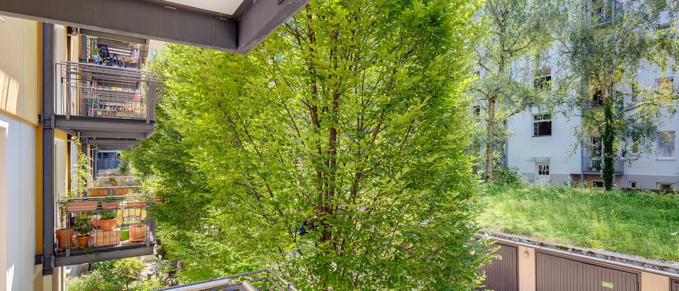 マンション München Schwabing-West (rund um den Hohenzollernplatz) 02 物件からの眺め 10929