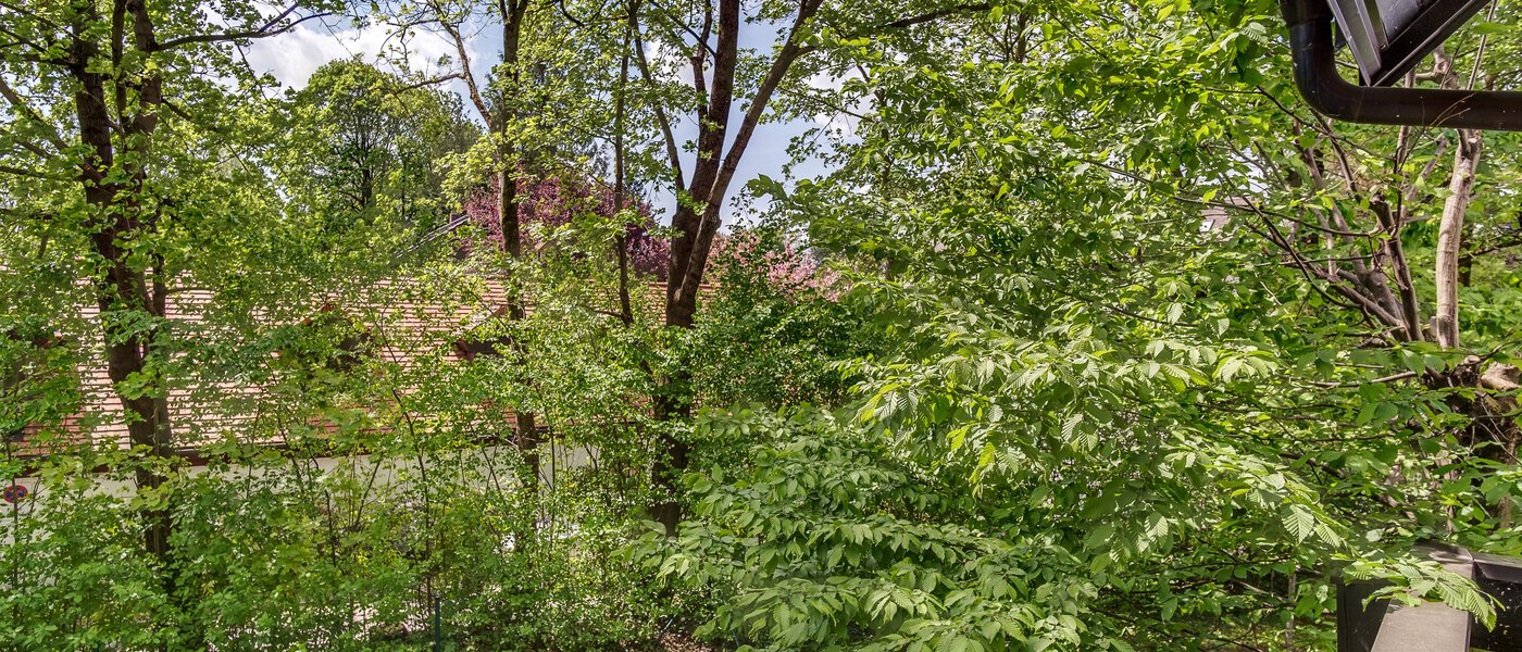 メゾネット・マンション（複数階にわたるマンション） München Oberföhring 04 物件からの眺め 10997