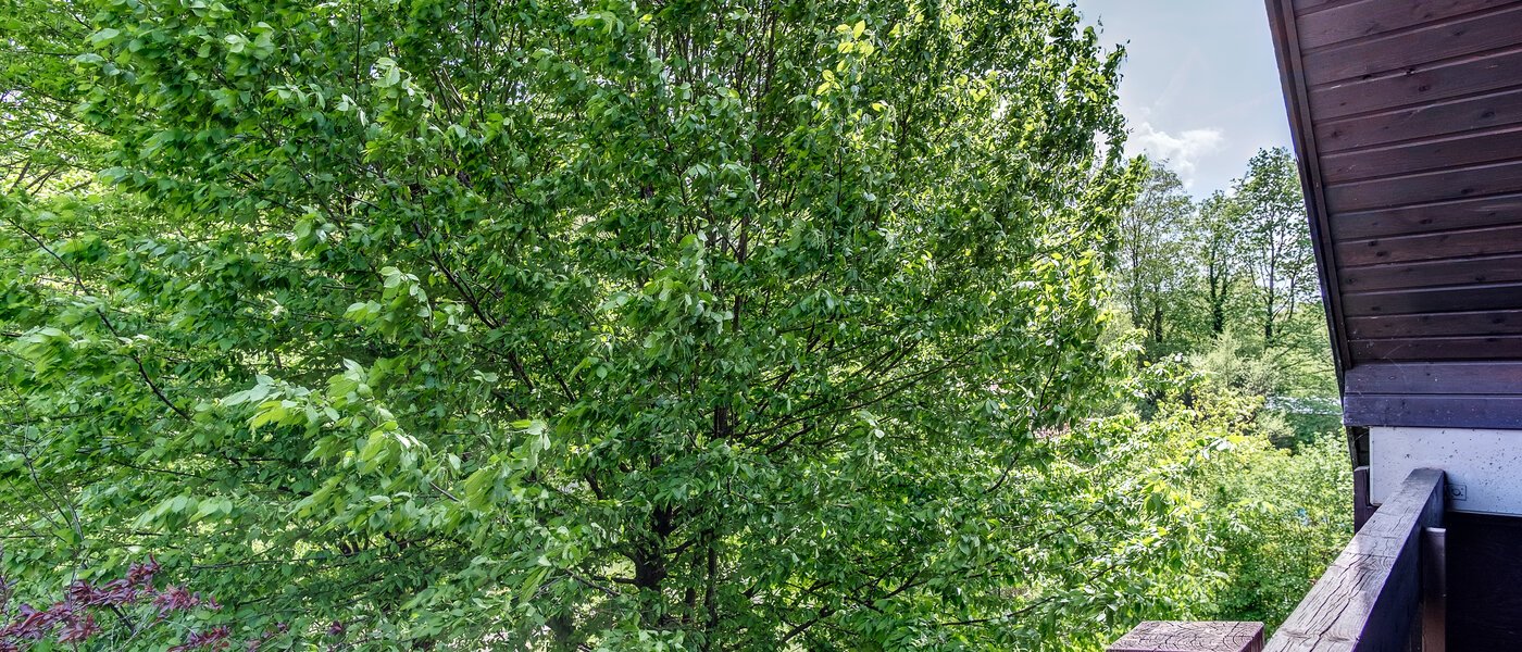 メゾネット・マンション（複数階にわたるマンション） München Oberföhring 05 物件からの眺め 10997