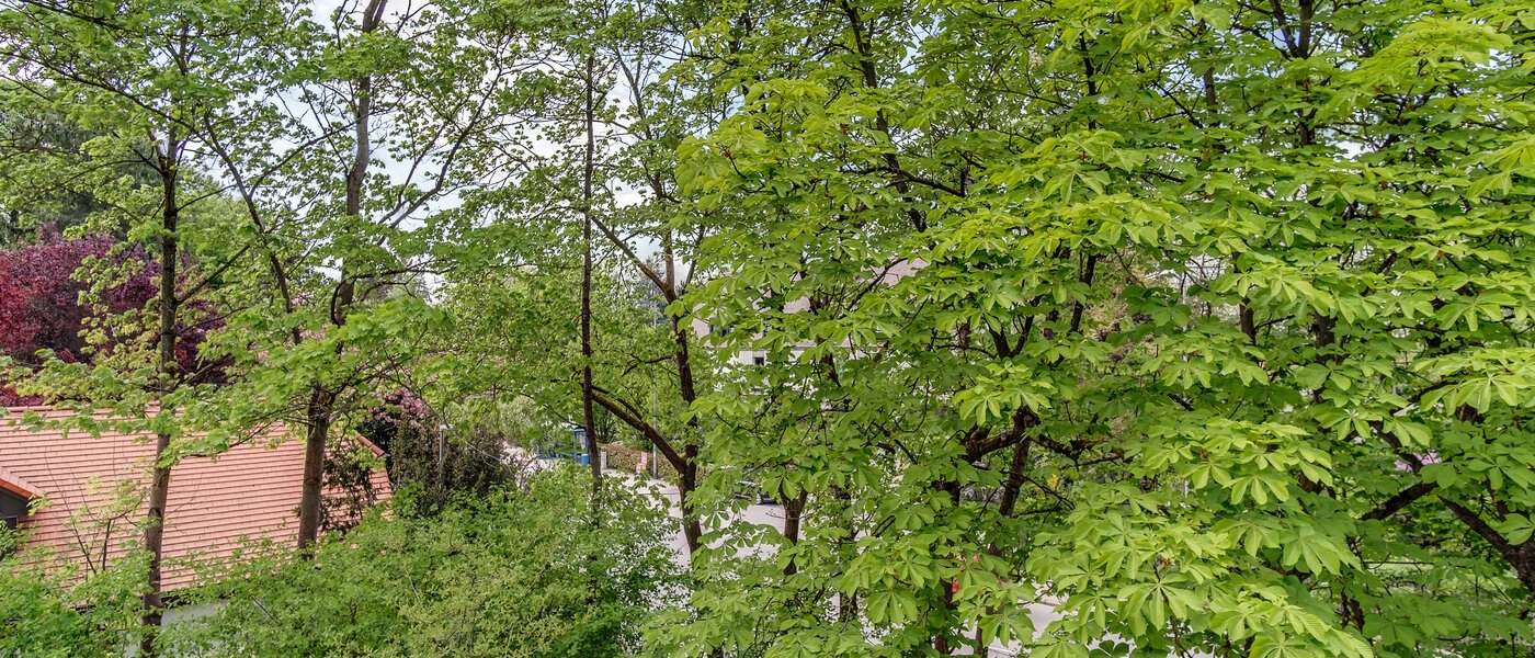 メゾネット・マンション（複数階にわたるマンション） München Oberföhring 07 物件からの眺め 10997