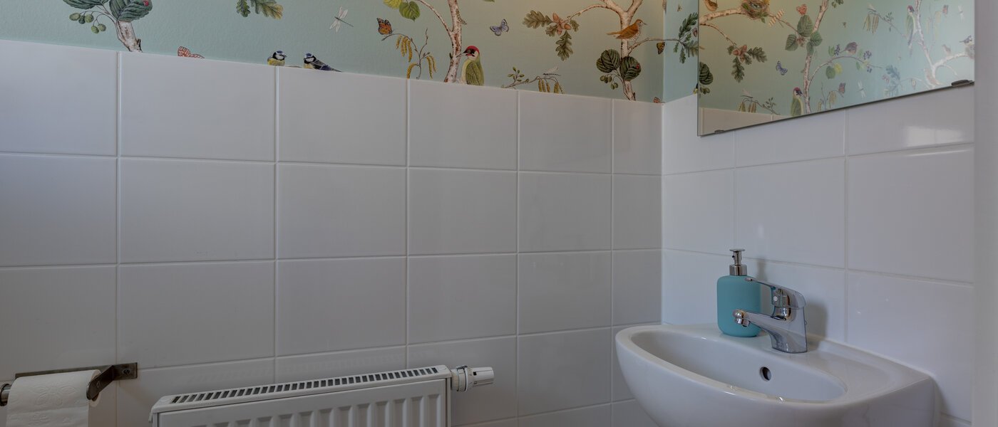 セミ・デタッチド・ハウス（一戸建てを二つに分けた家屋） Gröbenzell 01 ゲスト用 WC 11015