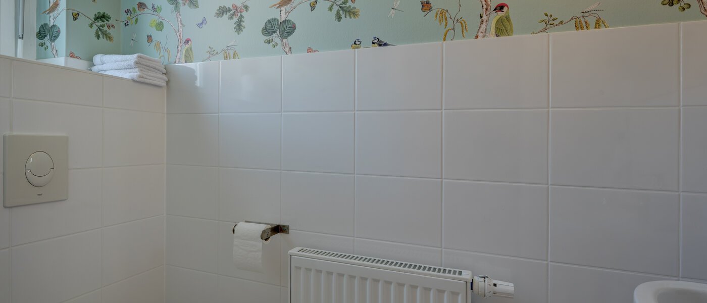 セミ・デタッチド・ハウス（一戸建てを二つに分けた家屋） Gröbenzell 02 ゲスト用 WC 11015