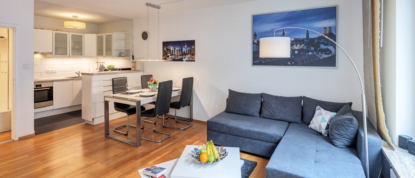 マンション München Haidhausen 01 リビングエリア 11036