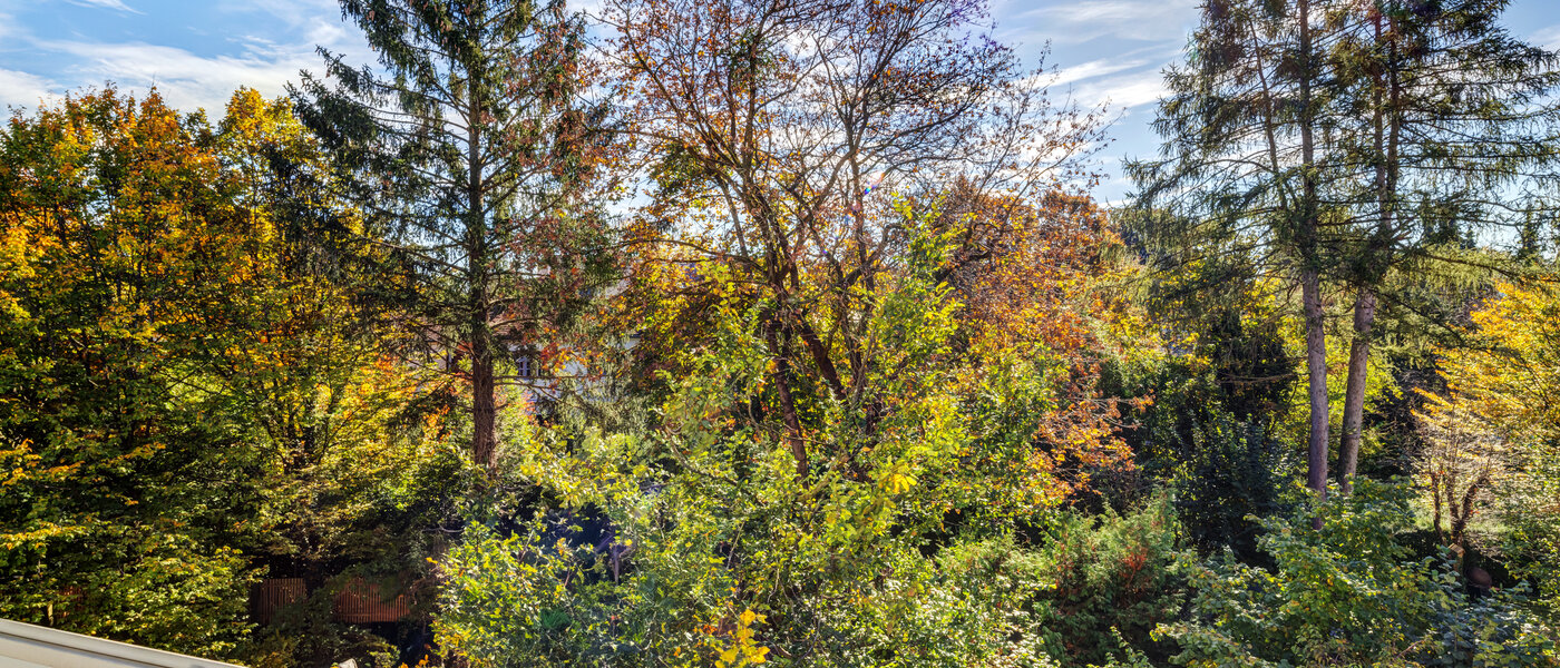 マンション München Nymphenburg 01 物件からの眺め 11055