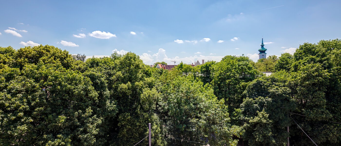 ペントハウス München Bogenhausen 01 物件からの眺め 11076