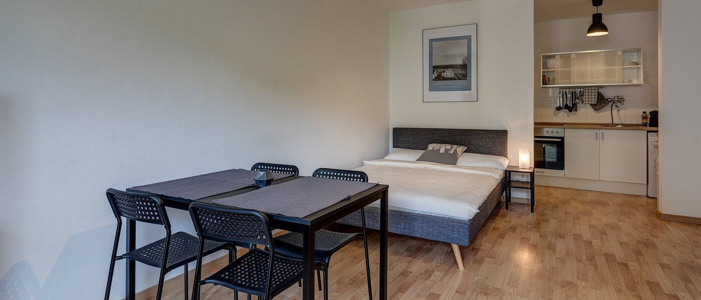 マンション München Maxvorstadt - Rund um den Josephplatz 04 リビングエリア 11083