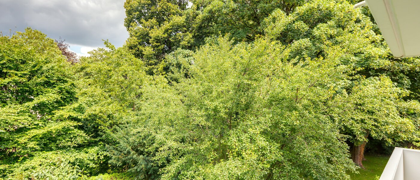 マンション München Herzogpark 04 物件からの眺め 11149