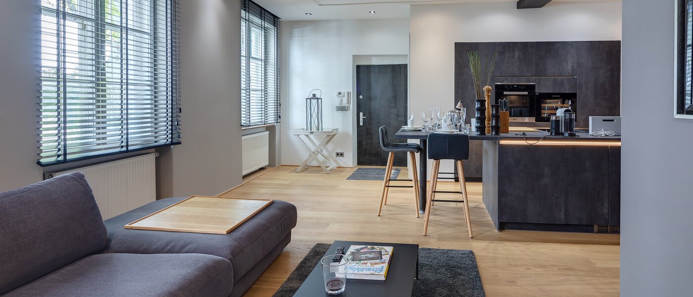 マンション München Gärtnerplatzviertel 04 リビングエリア 11186