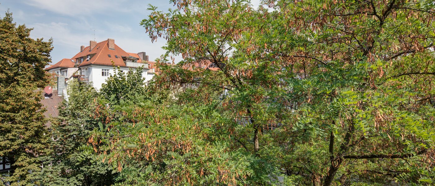 マンション München Schwabing 01 物件からの眺め 11220