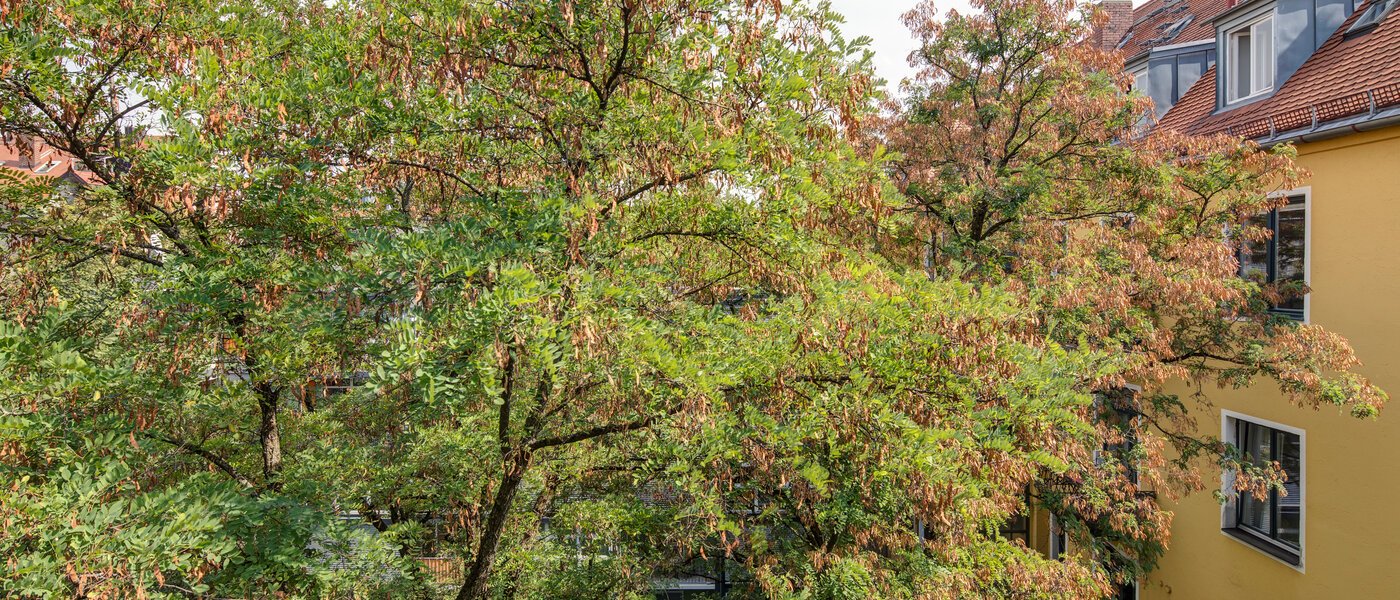 マンション München Schwabing 02 物件からの眺め 11220