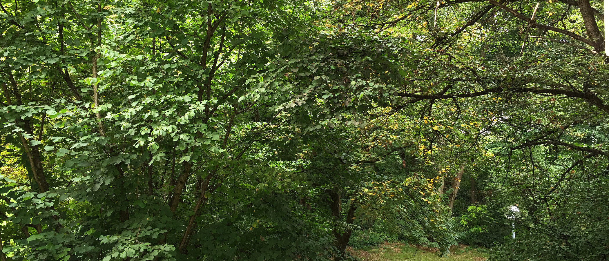 アパルトマン München Schwabing-West 01 物件からの眺め 11238