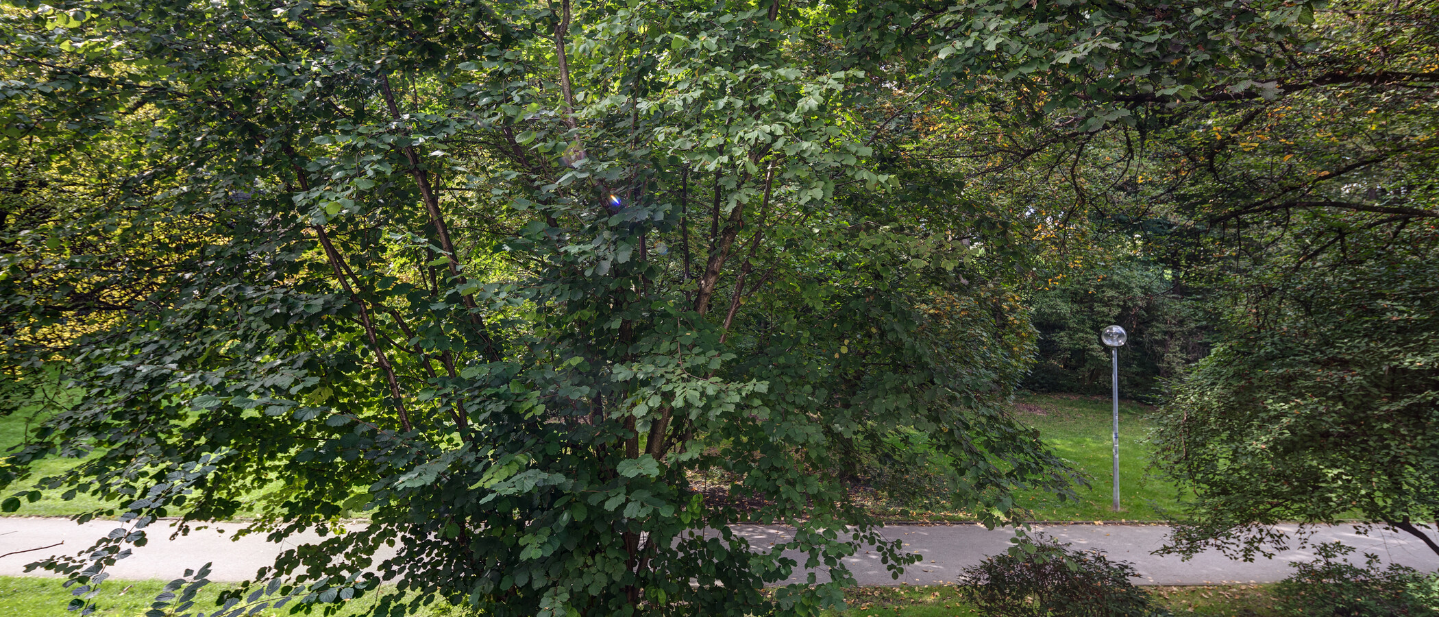 アパルトマン München Schwabing-West 03 物件からの眺め 11238