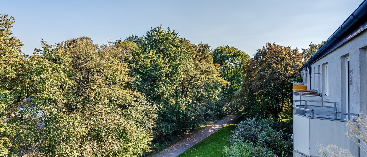 マンション München Parkstadt Bogenhausen 01 物件からの眺め 11256