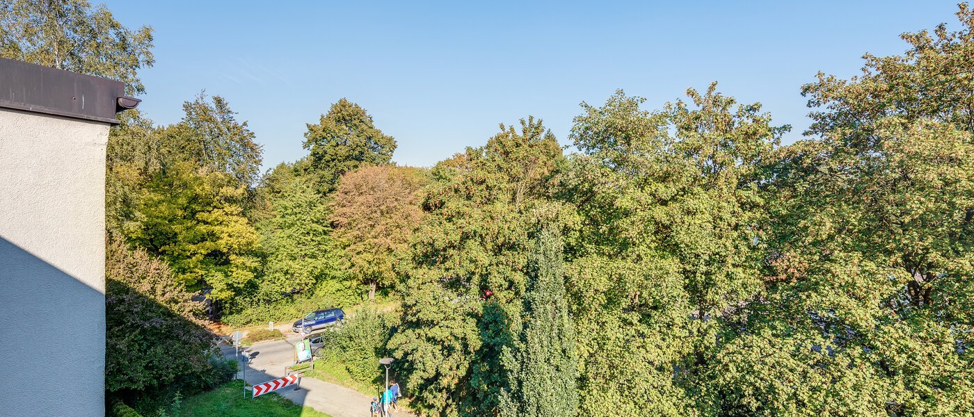 マンション München Parkstadt Bogenhausen 02 物件からの眺め 11256