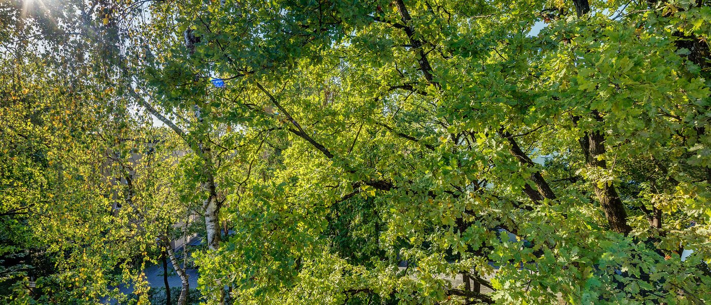 マンション München Parkstadt Bogenhausen 04 物件からの眺め 11256