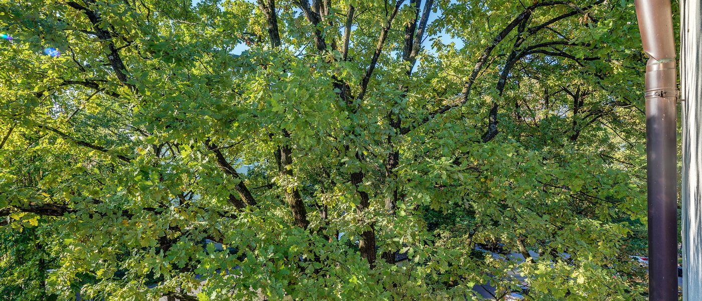 マンション München Parkstadt Bogenhausen 05 物件からの眺め 11256