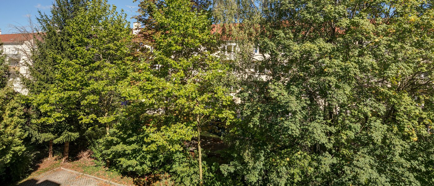 マンション München Obergiesing 01 物件からの眺め 11258